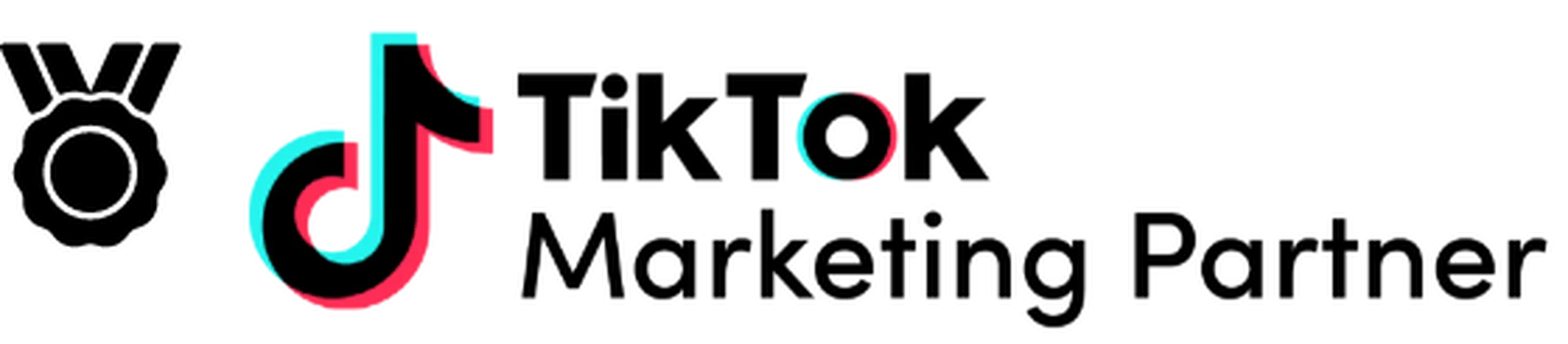 TikTok Marketing Partner